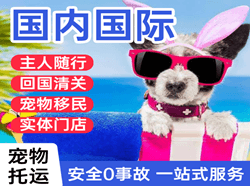 长沙黄花空运代理国际宠物托运 【国